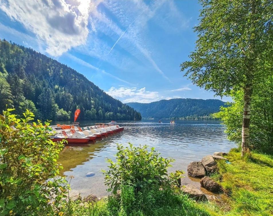 Gite Spa "La Foret Argentee" Proche Gerardmer Laveline-du-Houx Екстер'єр фото