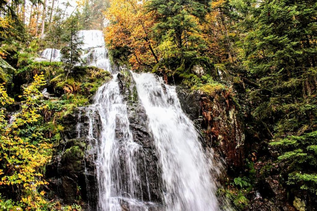 Gite Spa "La Foret Argentee" Proche Gerardmer Laveline-du-Houx Екстер'єр фото